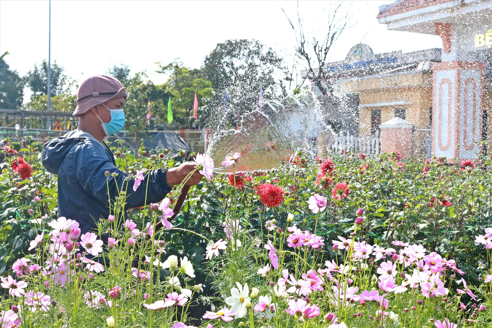 Đa dạng hoa Tết được bày bán tại Công viên Nguyễn Du. Ảnh: Đ.T