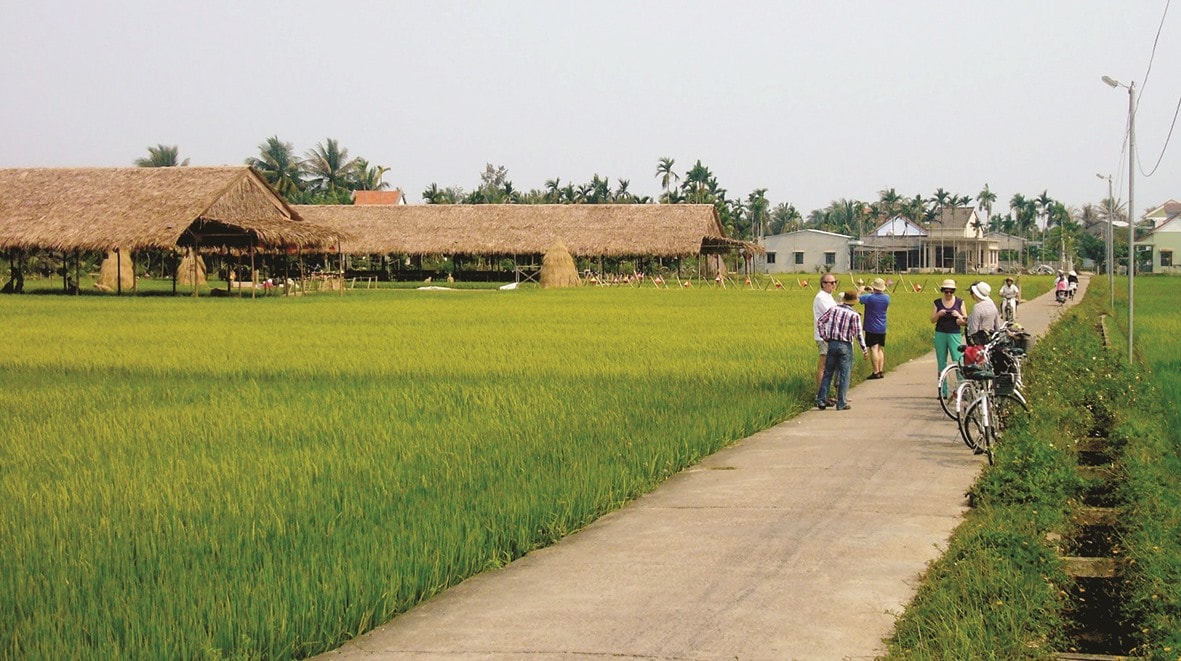 Du khách khám phá cánh đồng Võng Nhi (Cẩm Thanh, TP. Hội An). Ảnh: ĐỖ HUẤN