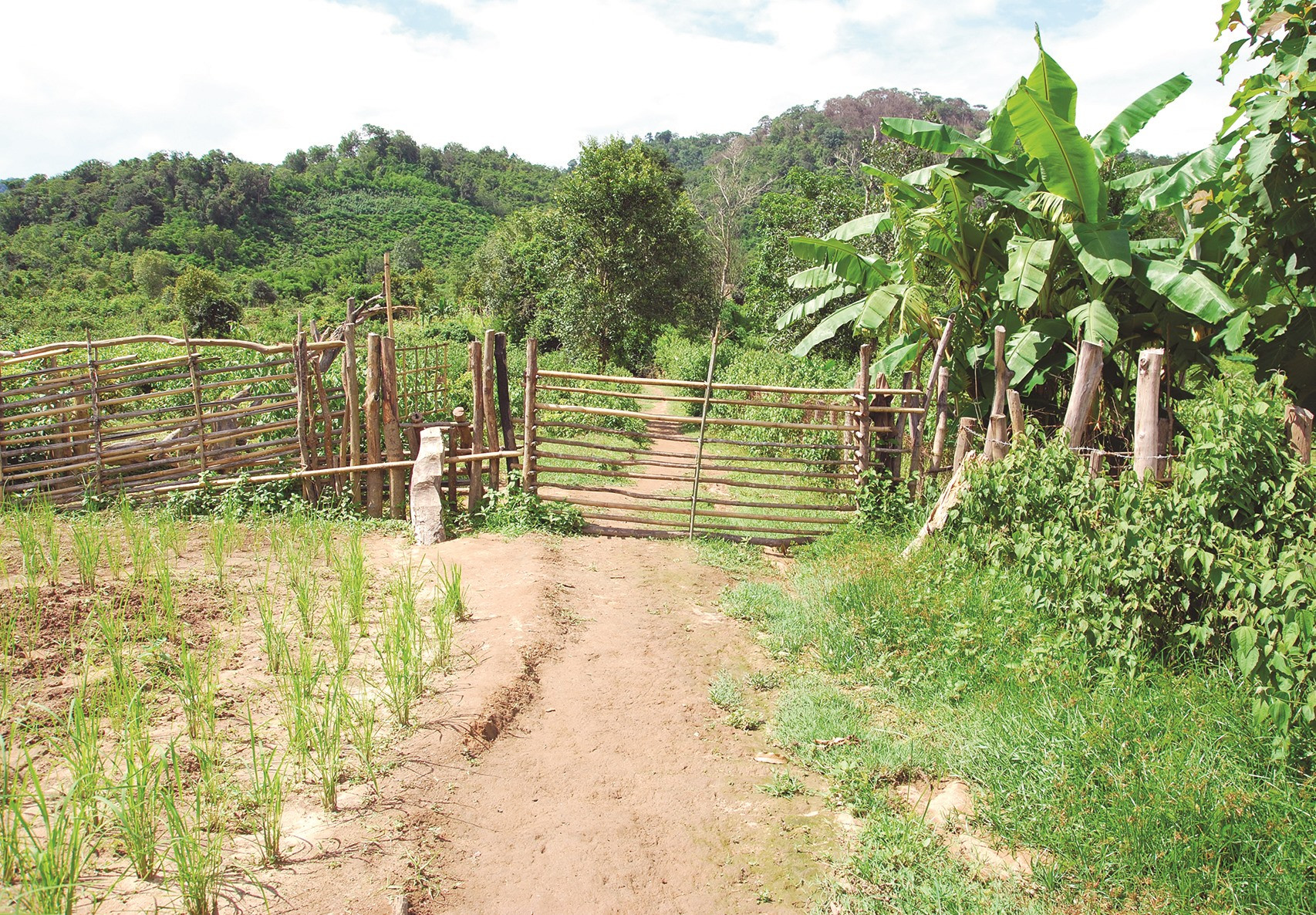 Cổng vào ra của một ngôi làng dân tộc Cơ Tu ở Lào. Ảnh: TRẦN KỲ PHƯƠNG