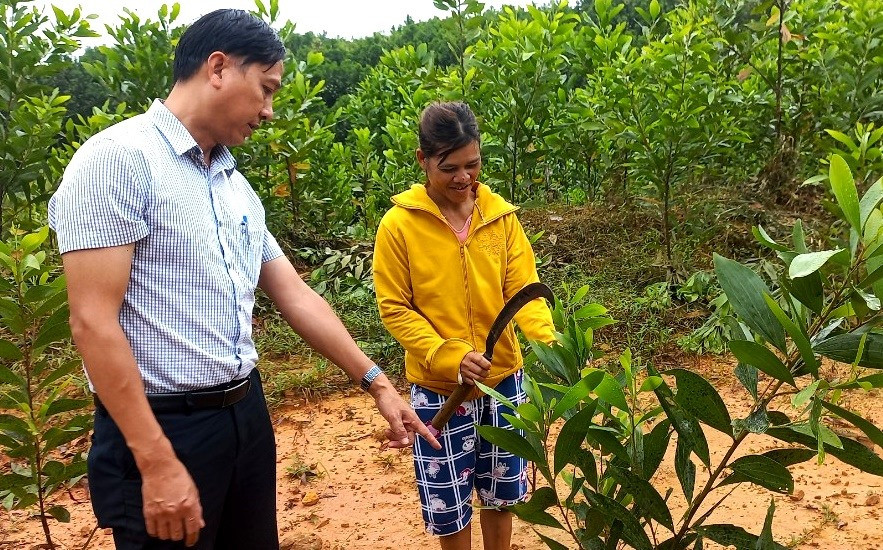 Tín dụng ưu đãi của chi nhánh Ngân hàng CSXH Quảng Nam giúp người dân huyện Bắc Trà My phát triển kinh tế rừng hiệu quả. Ảnh: Q.VIỆT