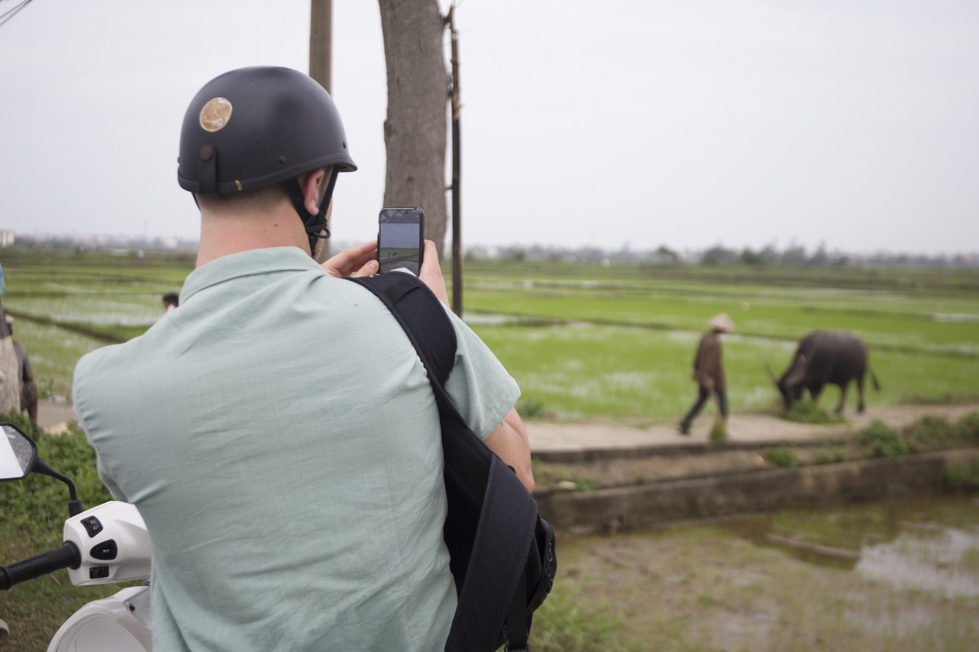 A foreigner is contemplating the life in a suburb of Hoi An. He seems to be attracted by the image of a farmer herding his buffalo on the green paddy field.