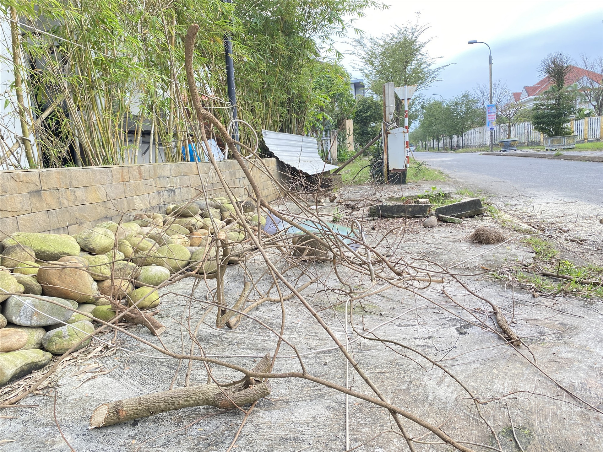 Cành cây khô cũng bị vứt bừa bãi trên đường Lương Thế Vinh (Tam Kỳ).