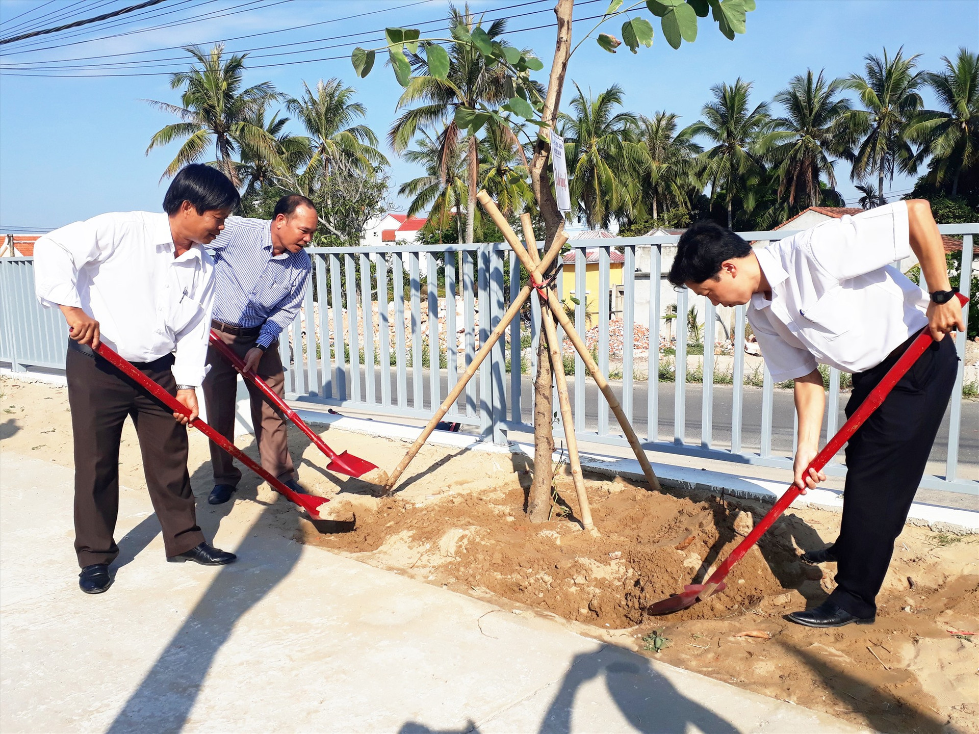 Lãnh đạo phường Cẩm An tham gia trồng cây xanh tại các công trình và khu tái định cư mới. Ảnh: Đ.H