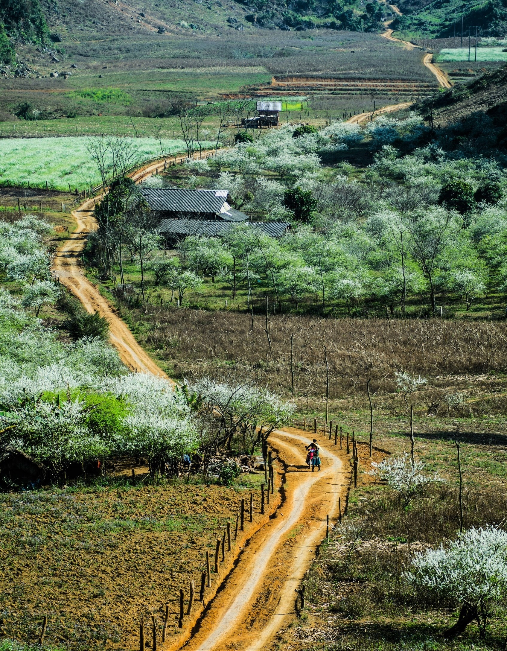 Con đường độc đạo dưới thung lũng Nà Ka. Ảnh: MINH PHƯƠNG