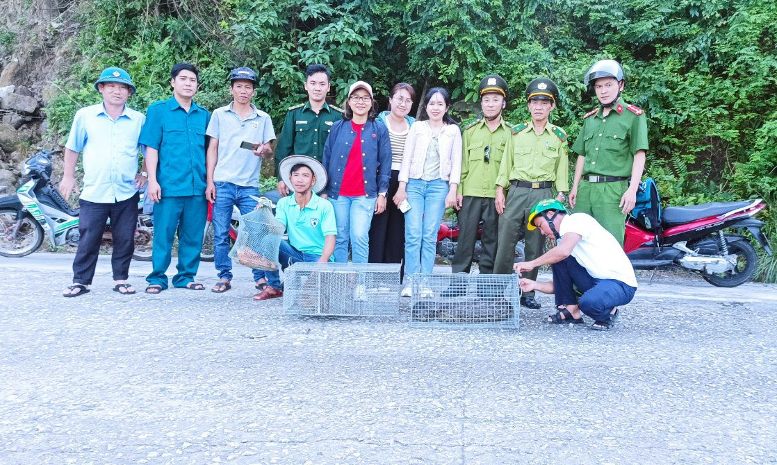 Các đơn vị địa phương phối hợp thả động vật Hoang dã về rừng Cù Lao Chàm.