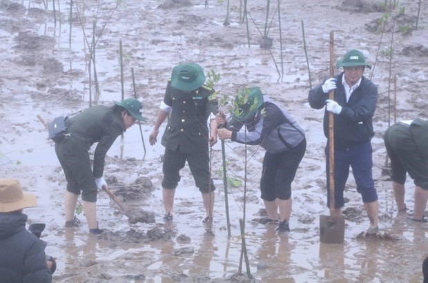 The project targets Ninh Binh and Nam Dinh provinces. (Photo: VNA)