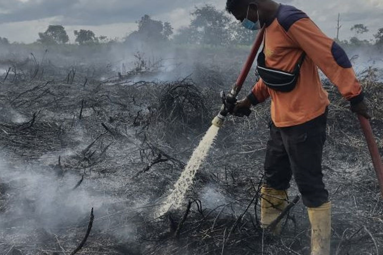 Indonesia vật lộn với các đám cháy rừng than bùn hằng năm, đặc biệt vào mùa khô. Ảnh: Antara