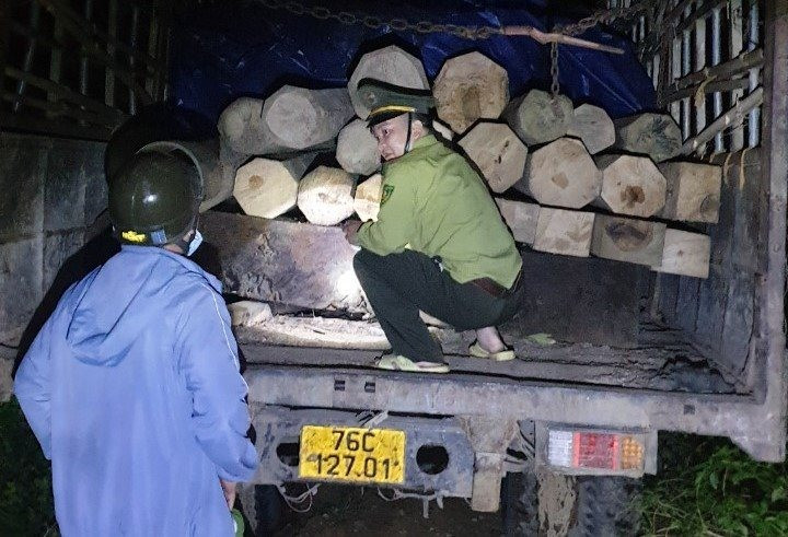 Lực lượng kiểm lâm Bắc Trà My kiểm tra tang vật gỗ được vận chuyển tại hiện trường vào sáng 12/2.