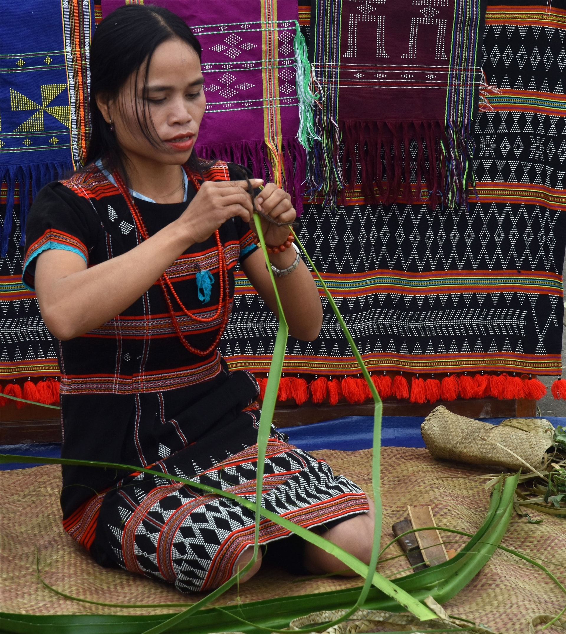 Loại lá dứa dại lớn, dài thường được khai thác lấy sợi dệt chiếu.