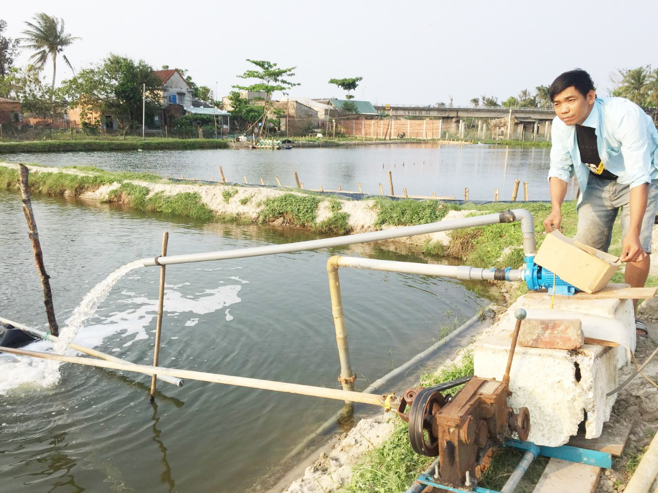 Cần nâng cao hạn mức sử dụng đất để nông dân có điều kiện sản xuất nông nghiệp hàng hóa. Trong ảnh: Nông dân nuôi tôm thẻ chân trắng từ đất lúa chuyển đổi. Ảnh: H.Quang