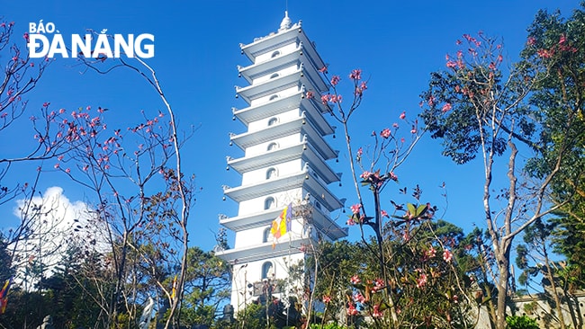 Quang cảnh Bà Nà thêm thơ mộng khi có hoa đào chuông nở rực trong tiết trời se lạnh.