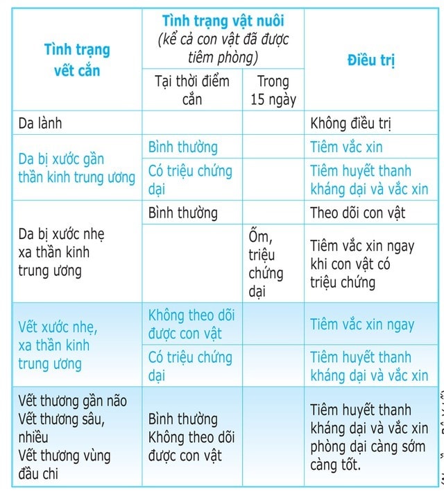 (Nguồn: Bộ Y tế)