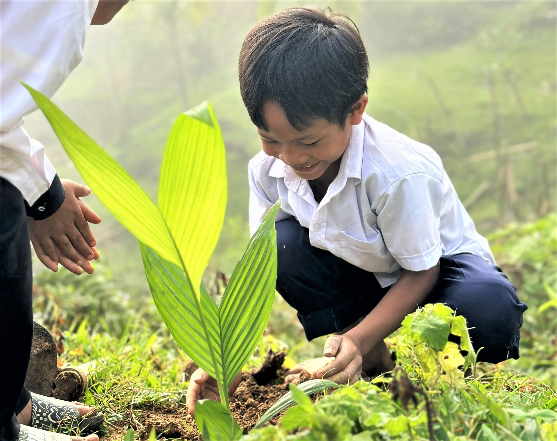 Một em học sinh tham gia trồng, chăm sóc cây cau non. Ảnh: TRÀ THU