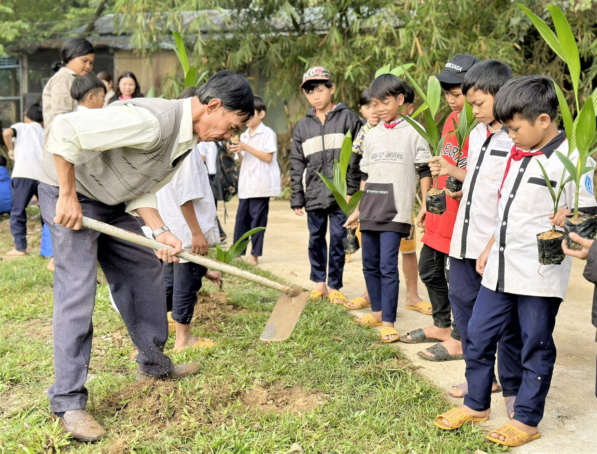 Cả thầy và trò Trường Phổ thông Dân tộc bán trú Tiểu học Trà Tập cùng tham gia trồng cây. Ảnh: TRÀ THU