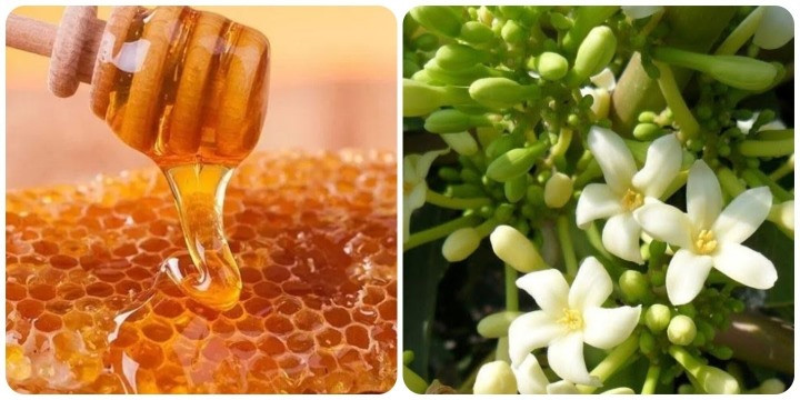 Tác dụng của hoa đu đủ đực ngâm mật ong rất tốt cho sức khỏe.