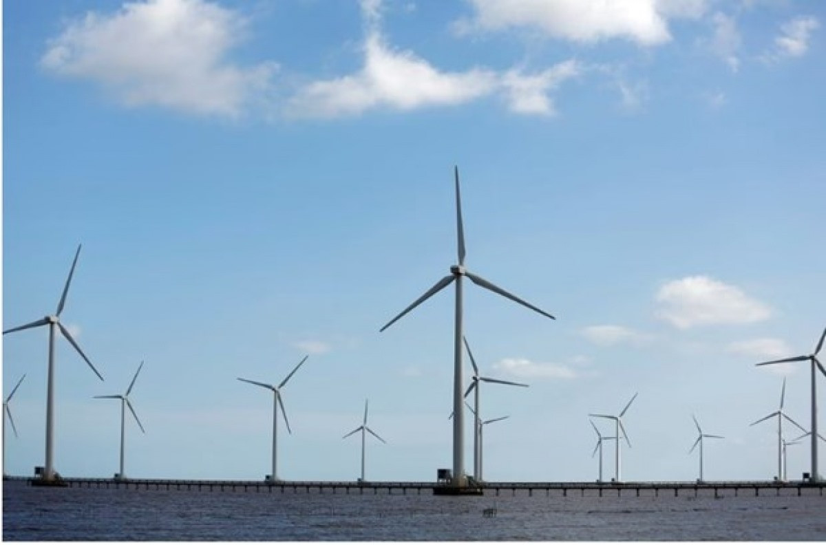 Power-generating windmill turbines are pictured at a wind park in Bac Lieu province. (Photo: Reuter)