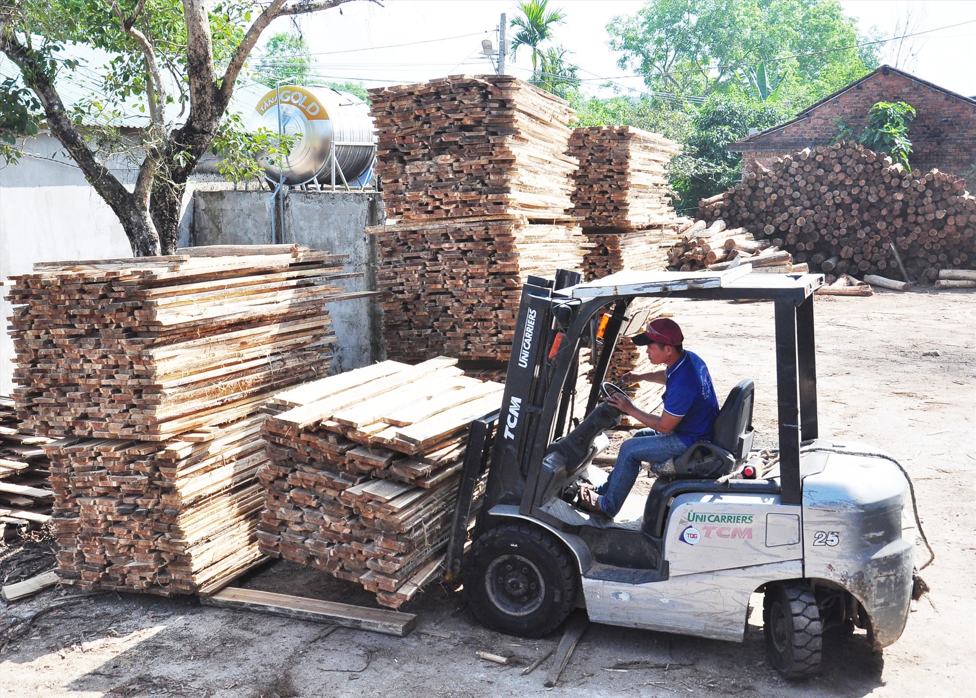 Hiệp Đức phấn đấu xây dựng thành trung tâm công nghiệp chế biến nông lâm nghiệp của tỉnh. Ảnh: ANH NHI