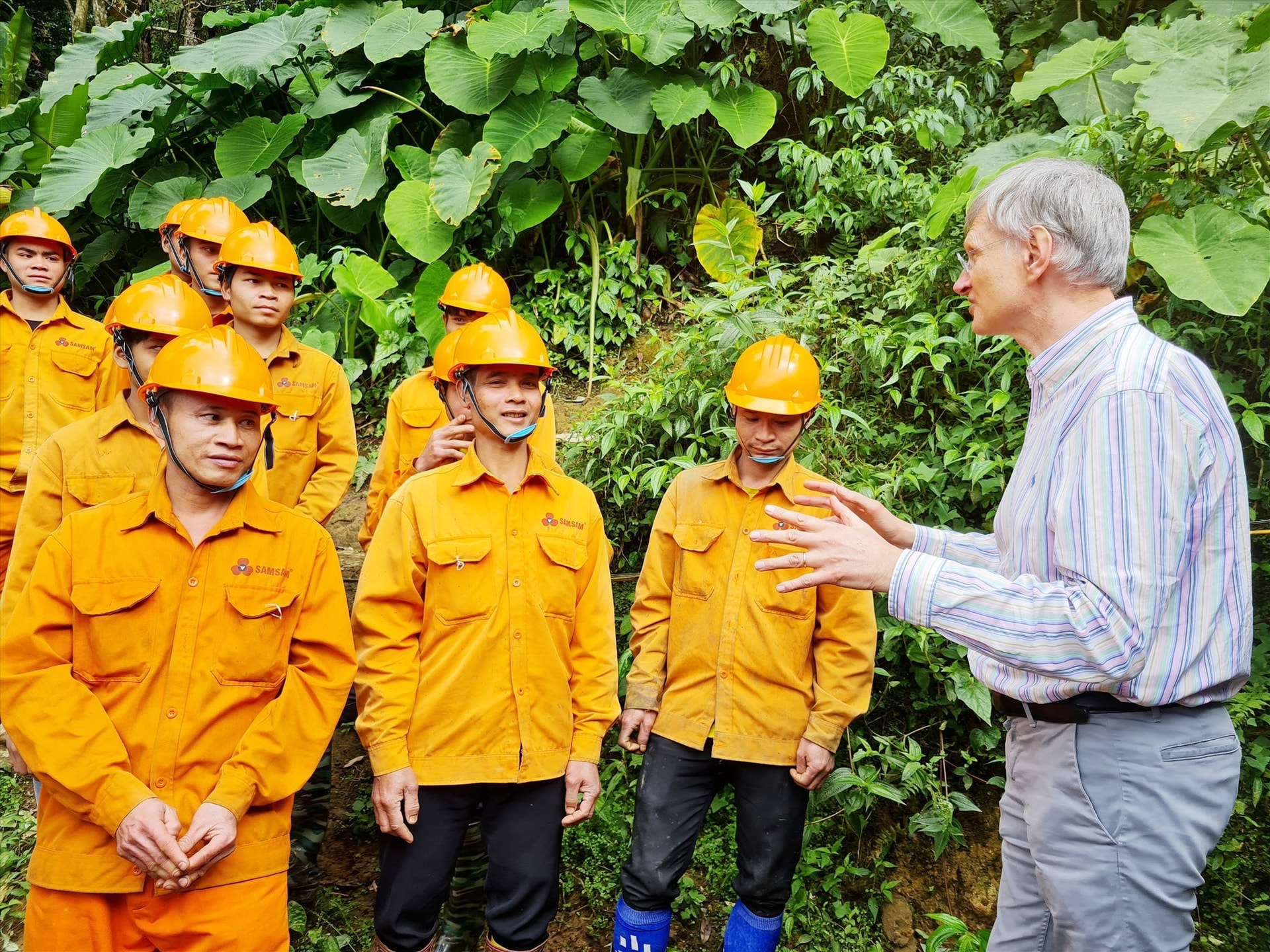 Experts from DFCD and WWF-Vietnam visits a Ngoc Linh ginseng garden owned by Sam Sam Co. Ltd.