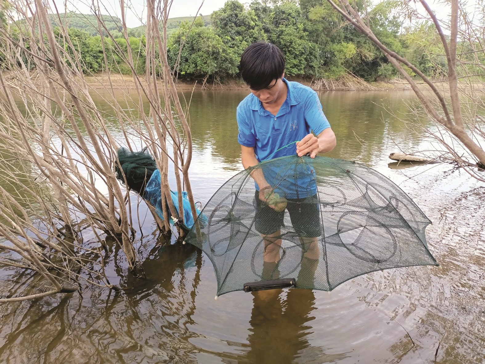 Cho mồi vào lồng trước khi thả xuống nước.