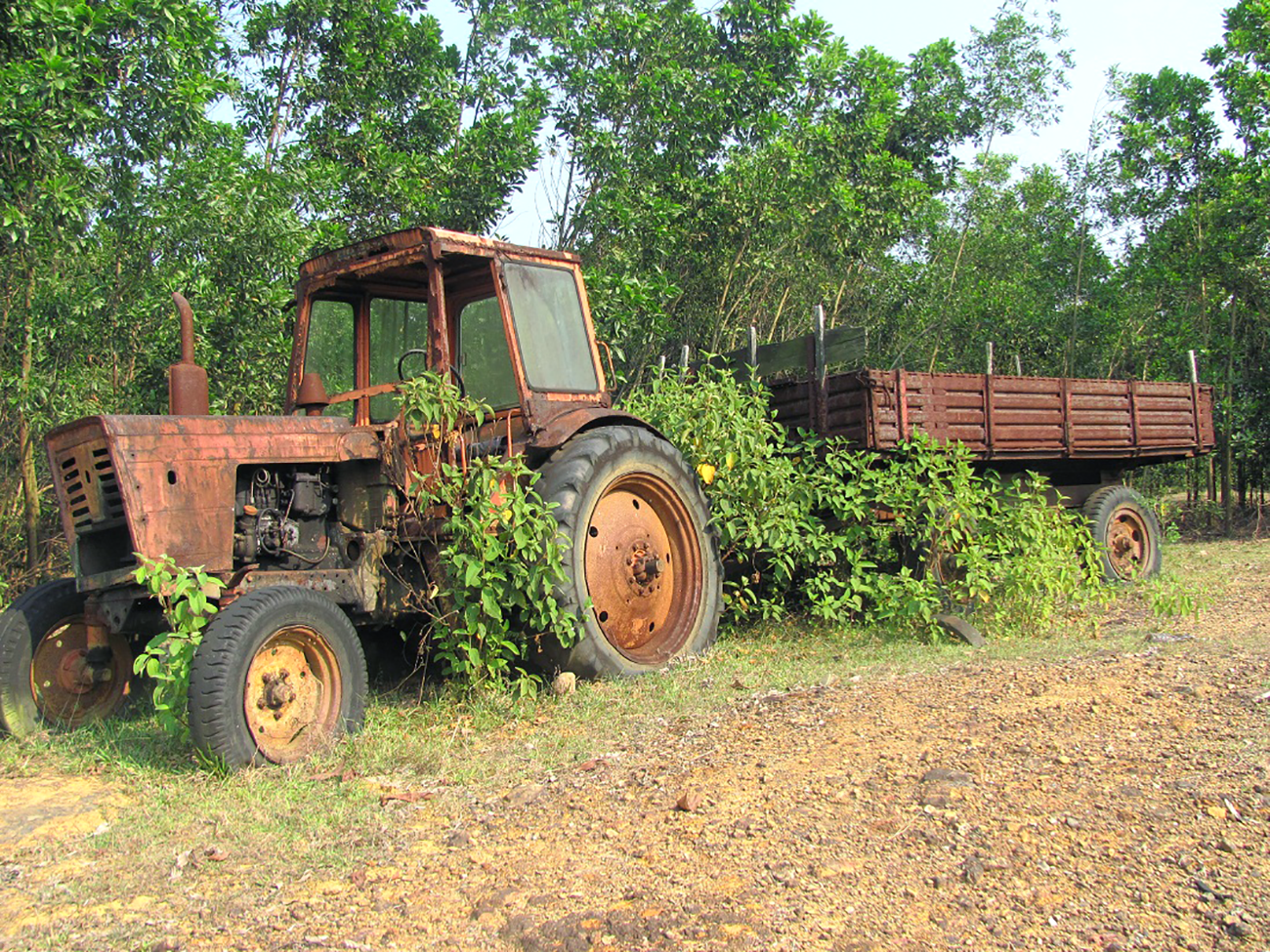 Chiếc xe rơ-moóc, chứng nhân một thời của công nhân nông trường Quyết Thắng. (Ảnh chụp năm 2010). T.C