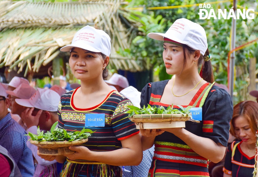 Các thiếu nữ Xơ-đăng dâng lễ vật cúng máng nước.