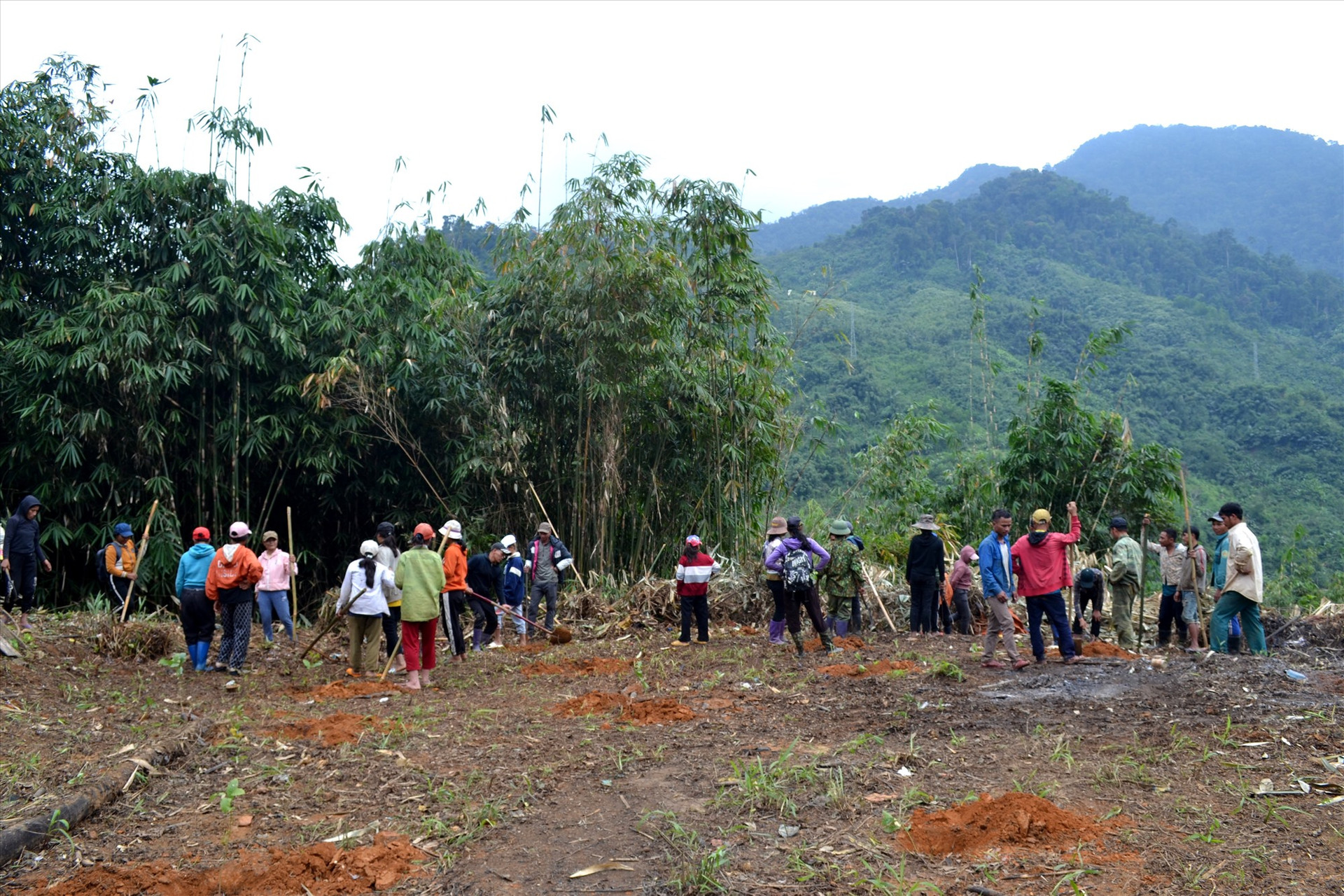 Người dân xã Trà Cang trồng rừng từ ccaay giống được trao tặng. Ảnh: Q.VIỆT