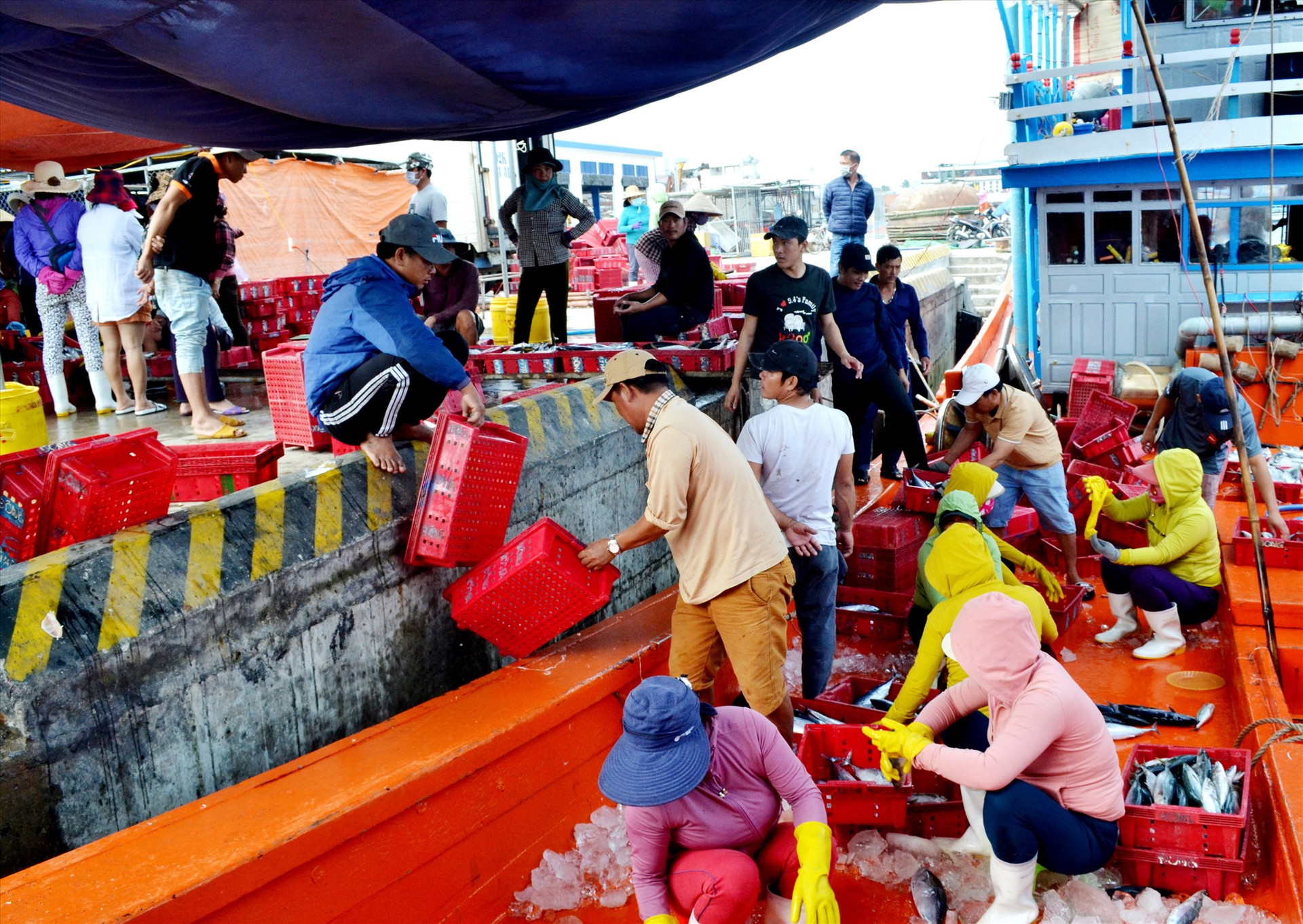 Một tàu cá cập cảng Tam Quang để tiêu thụ hải sản. Ảnh: VIỆT NGUYỄN