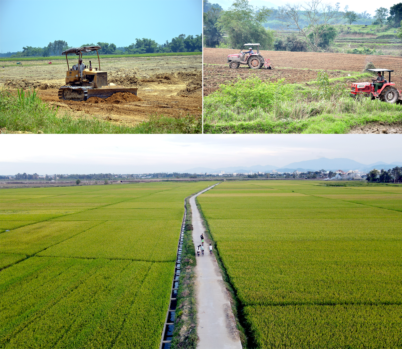 Quảng Nam là một trong những địa phương chủ trương sớm phát triển hợp tác hóa trong sản xuất nông nghiệp
