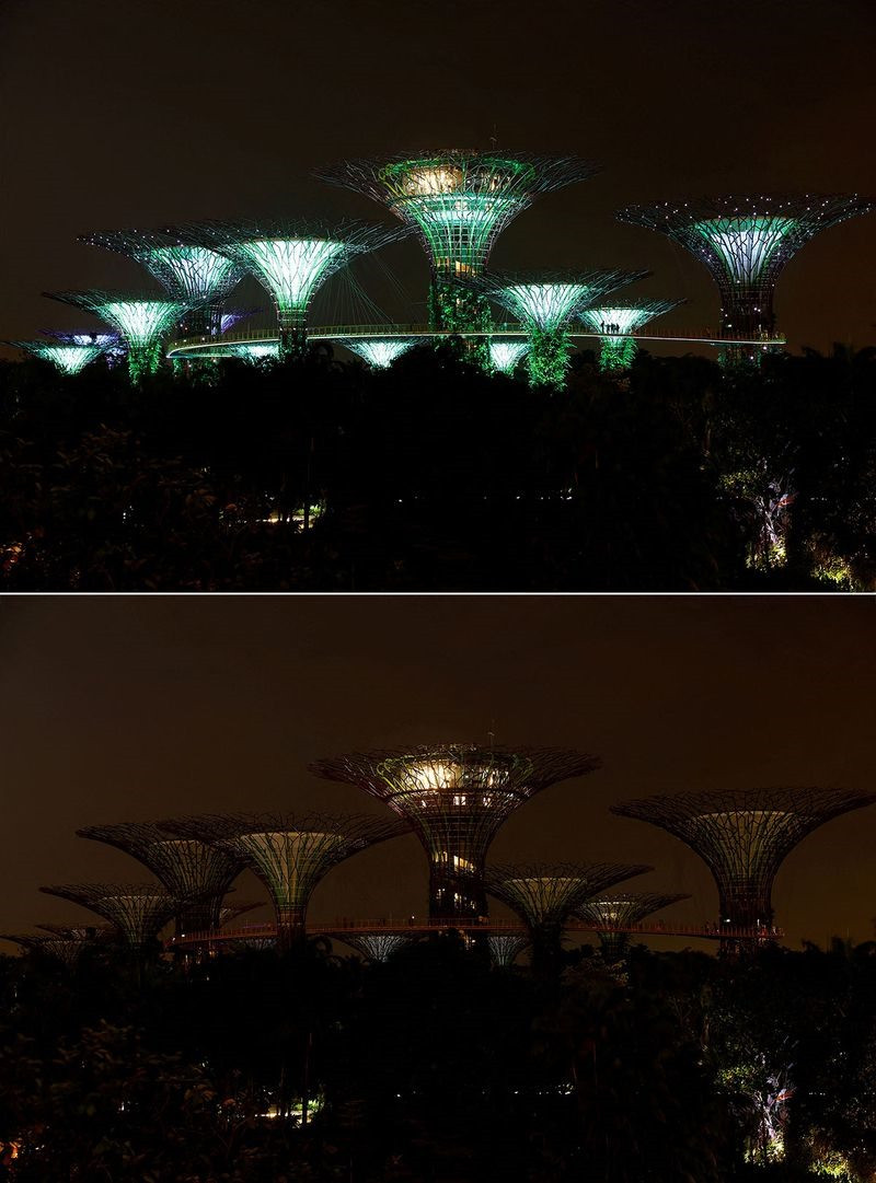 Quang cảnh kiến trúc công trình Supertree Grove tại công viên Gardens by the Bay của Singapore tắt đèn hưởng ứng Chiến dịch Giờ Trái đất năm nay. Ảnh: Reuters