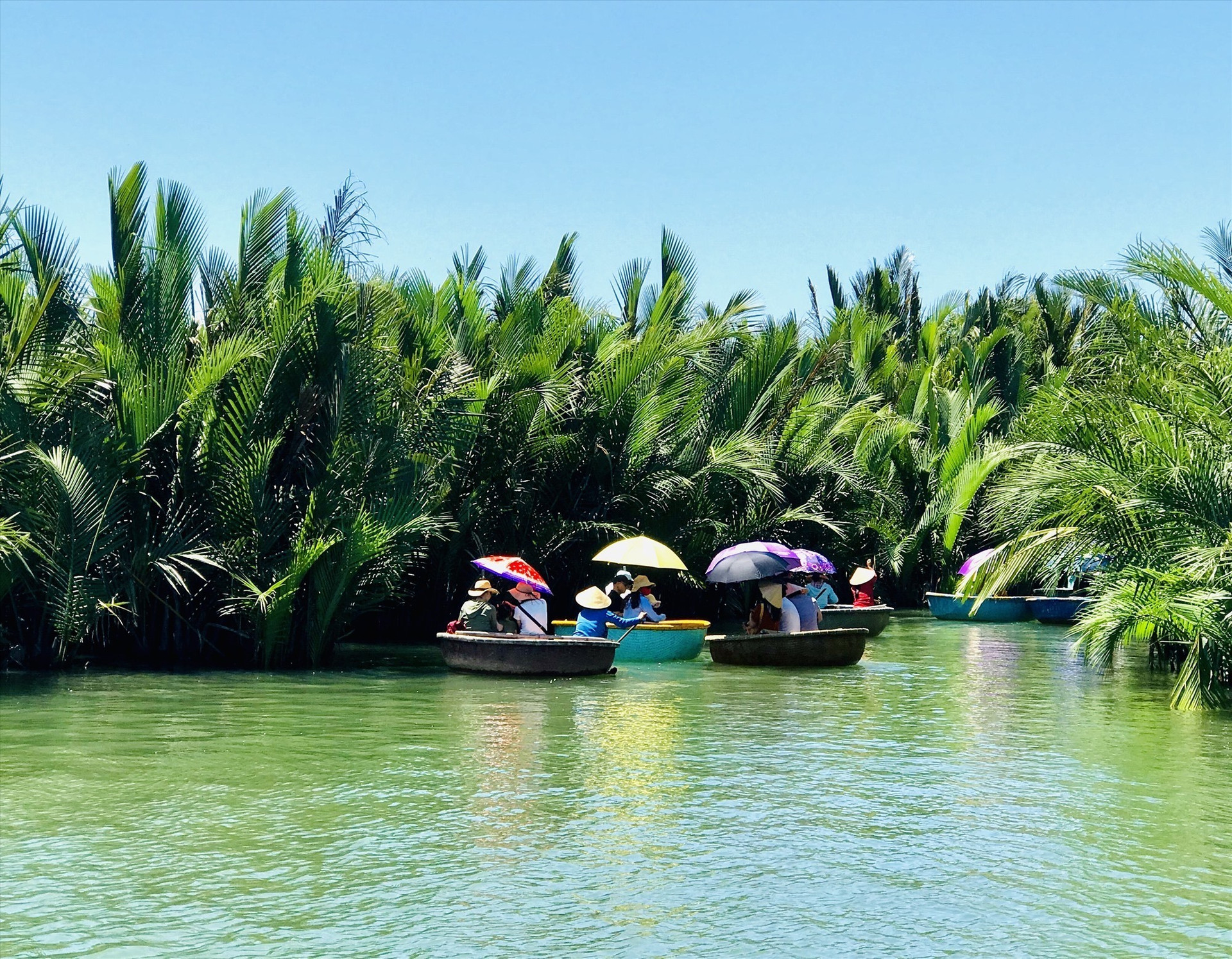 Visitors taking a sight-seeing tour around Bay Mau nipa palm forest by bamboo coracle