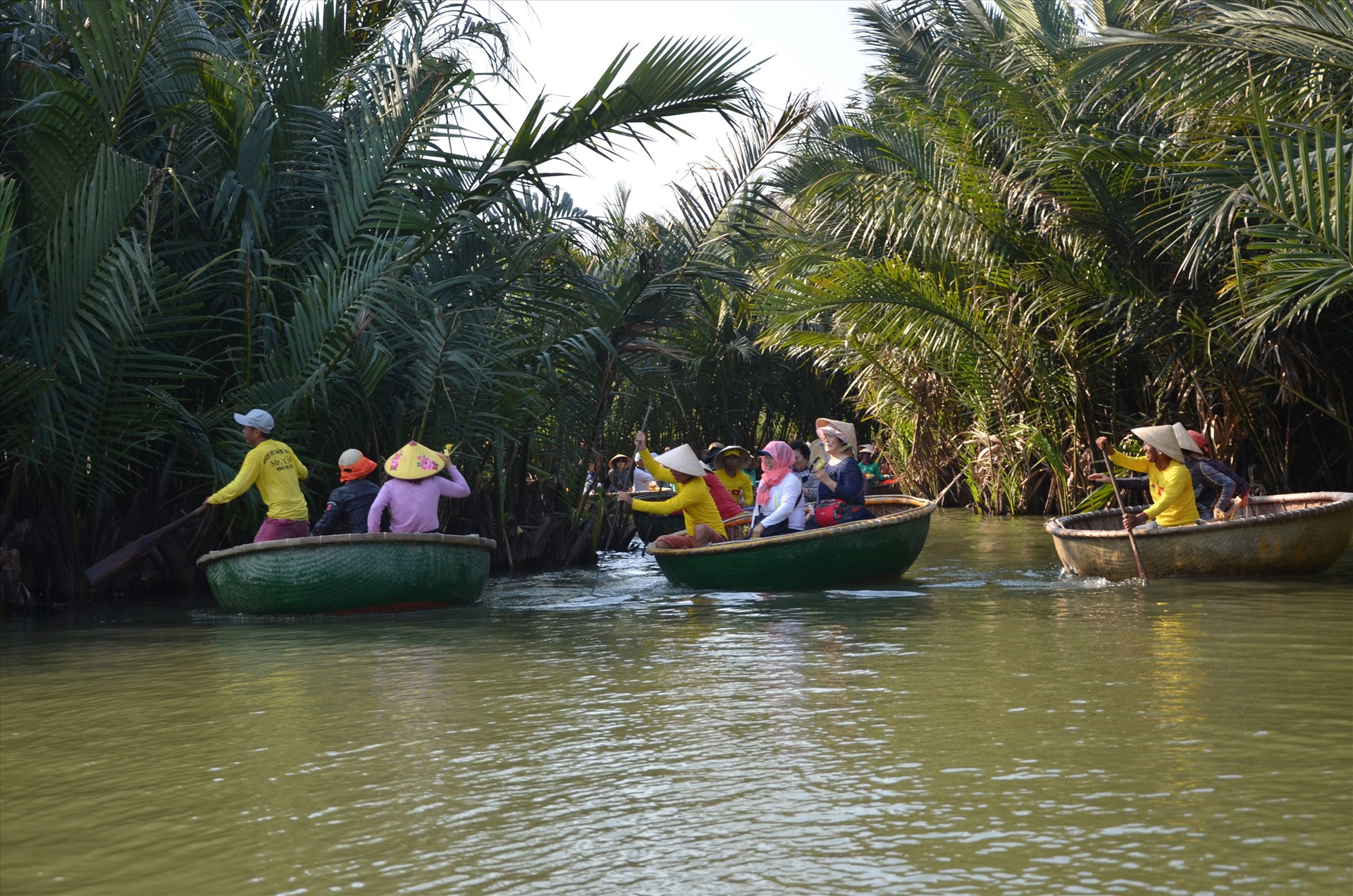 Tại xã Cẩm Thanh, các dự án bảo tồn đã giúp cải thiện đáng kể đời sống người dân. Trong ảnh là thuyền thúng chở khách tham quan rừng dừa Bảy Mẫu, xã Cẩm Thanh. Ảnh: H.P
