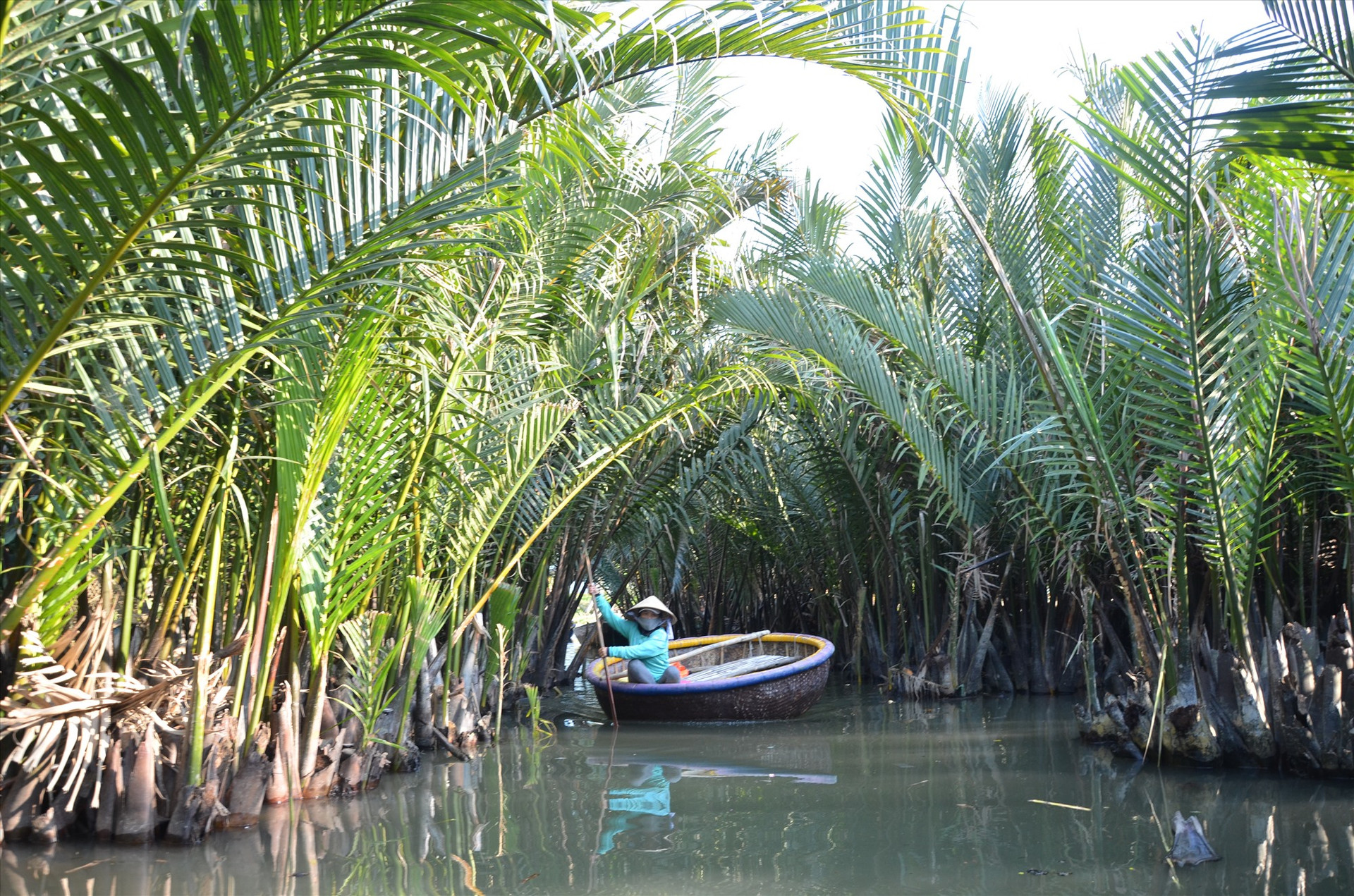 Tại xã Cẩm Thanh, các dự án bảo tồn đã giúp cải thiện đáng kể đời sống người dân. Trong ảnh là thuyền thúng chở khách tham quan rừng dừa Bảy Mẫu, xã Cẩm Thanh. Ảnh: H.P