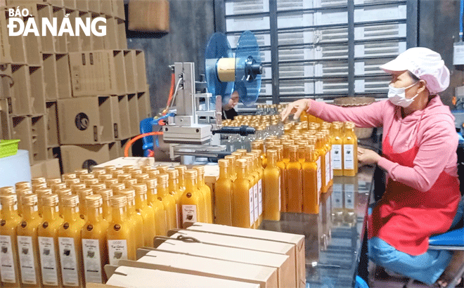 Sau thành công bước đầu, chị Nguyễn Thị Thu Nguyệt ấp ủ ý định đẩy mạnh sản xuất, đưa sản phẩm trà gừng đến nhiều tỉnh, thành phố trong cả nước. Ảnh: T.D