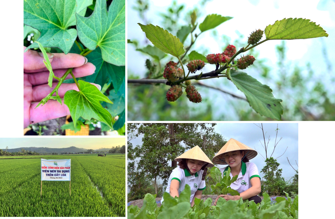 The youth and their agricultural start-up models