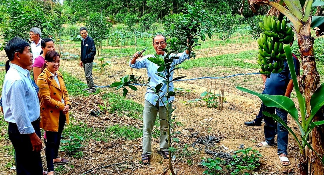Cán bộ khuyến nông huyện Nông Sơn hướng dẫn người dân kỹ thuật trồng và chăm sóc các loại cây ăn quả.    Ảnh: PV