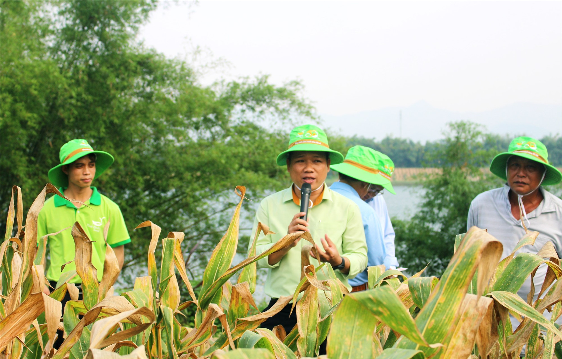 Ông Triệu Tấn Phú – Giám đốc Công ty TNHH ThaiBinh Seed miền Trung - Tây Nguyên (đứng giữa) thông tin về quá trình thực hiện mô hình liên kết sản xuất.   Ảnh: PV