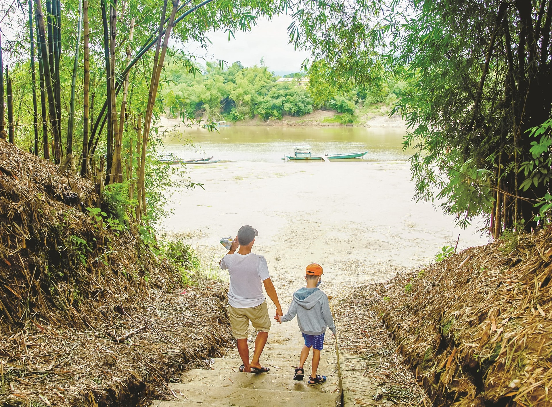 Tre còn nhiều ở các vùng quê. Ảnh: PHƯƠNG THẢO