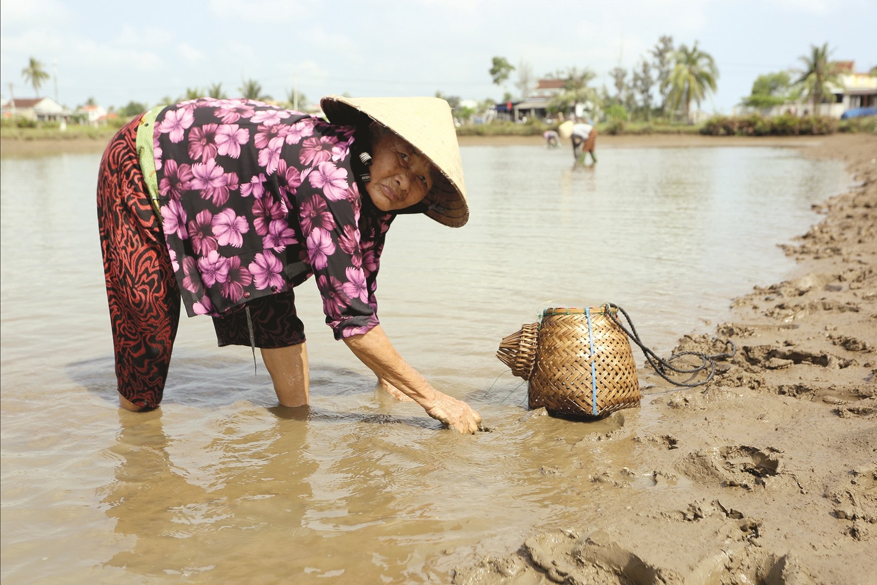 Bà Nguyễn Thị Ba cho biết, năm nay nghêu trong ao nước lợ nhiều so với mấy năm trước.