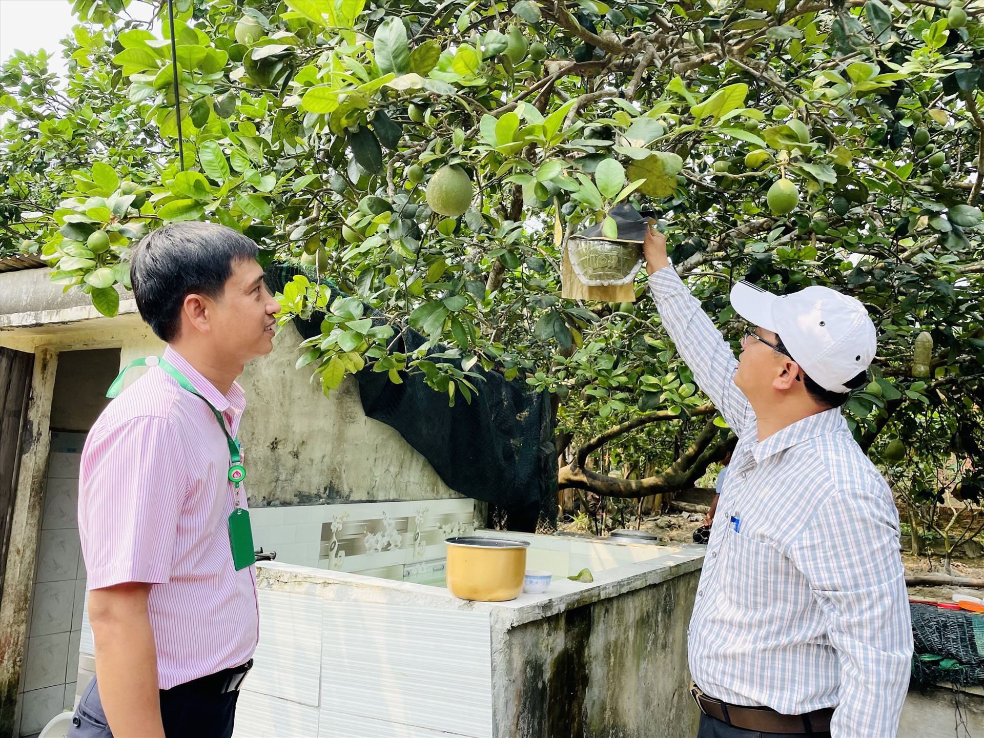 Kiểm tra việc sử dụng nguồn vốn chính sách của một số hộ vay tại xã Phước Ninh (Nông Sơn). Ảnh: TÂM LÊ
