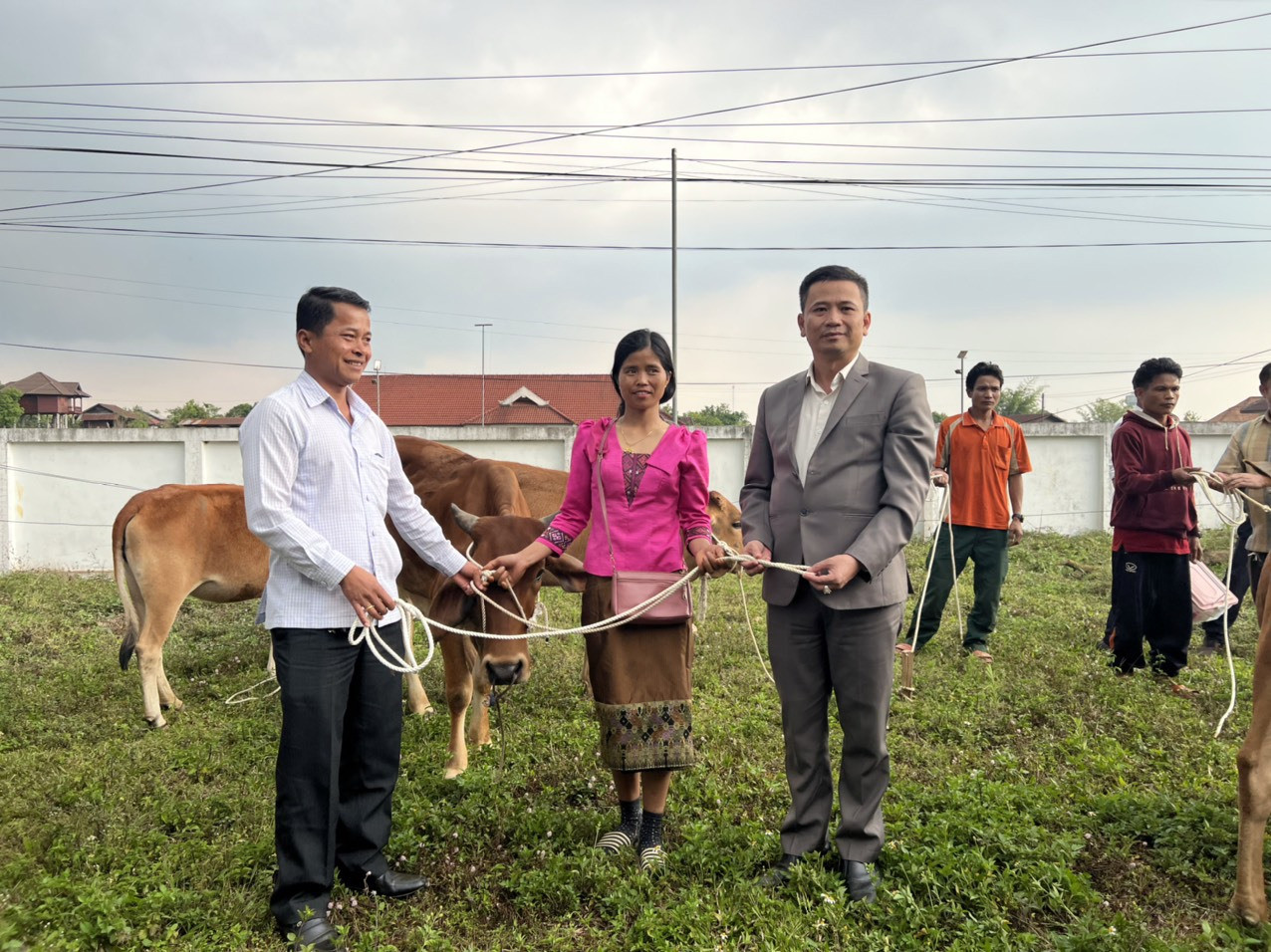 Huyện Nam Giang trao 20 con bò giống cho các hộ nghèo huyện Đắc Chưng.