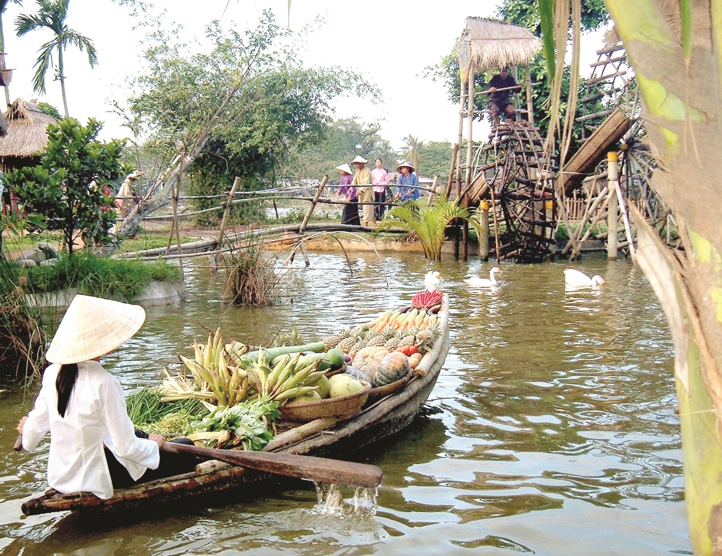 Tái hiện khung cảnh nông thôn thanh bình ở Hội An: Phía xa, nhóm nông dân tát nước bằng gàu sòng và có xe đạp nước.Ảnh: H.X.H