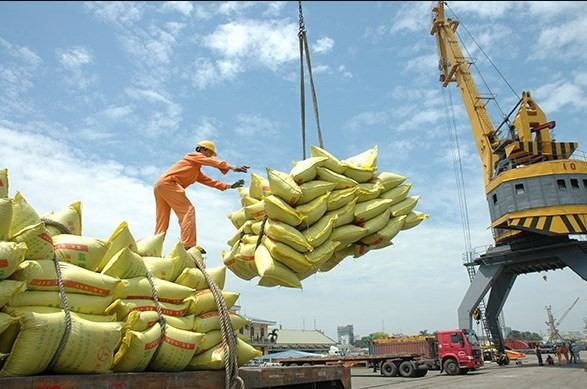 Vietnam exported 1.79 million tonnes of rice worth 952 million USD in Q1. (Photo: VNA)
