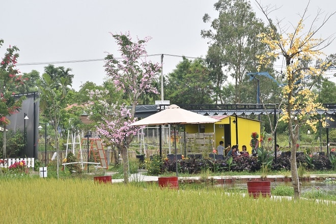 Green Fields Coffee có không gian rộng rãi, thoáng mát, phù hợp với các gia đình, nhóm bạn đến thư giãn.