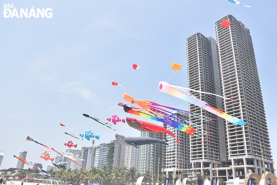 Ngay từ sáng các con diều đủ màu sắc đã tung bay trên bầu trời Đà Nẵng, mang đến màu sắc rực rỡ cho bãi biển. Ảnh: NHẬT HẠ