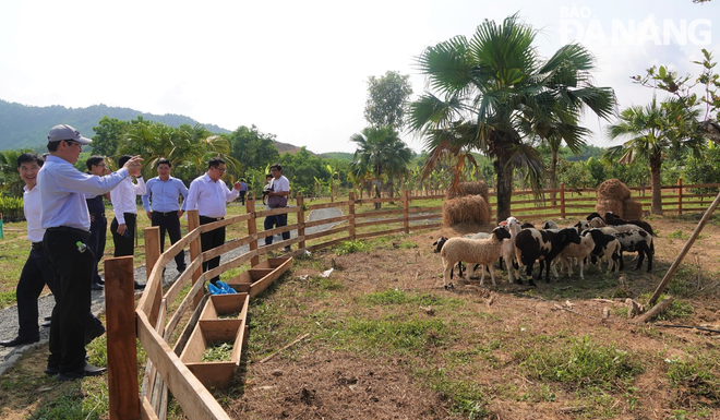 Du khách tham quan mô hình Bana Rita Glamping Farm. Ảnh: M.Q
