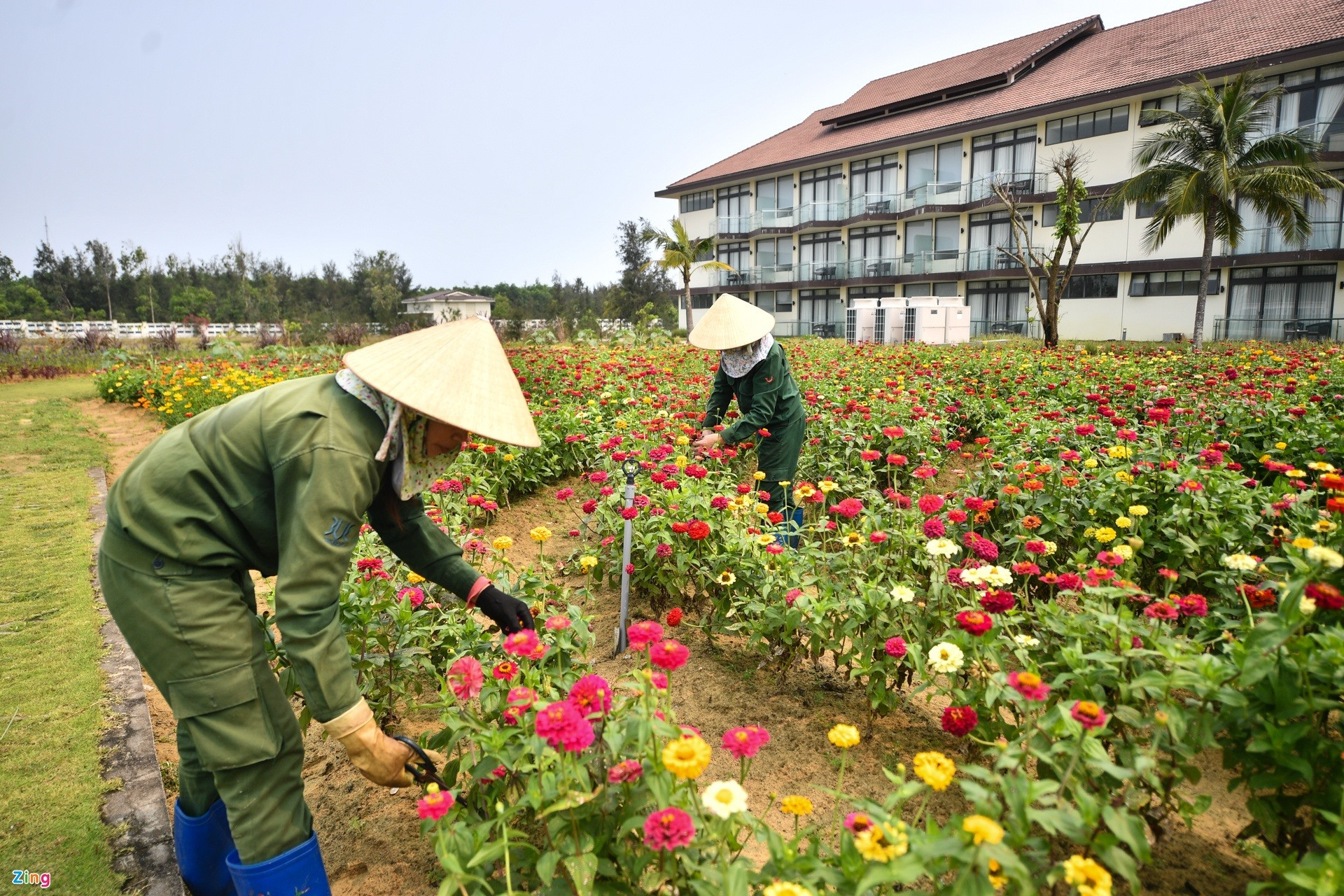 Many kinds of flowers are planted in the resort to create diverse landscapes. Some flowers are used to decorate the resort.