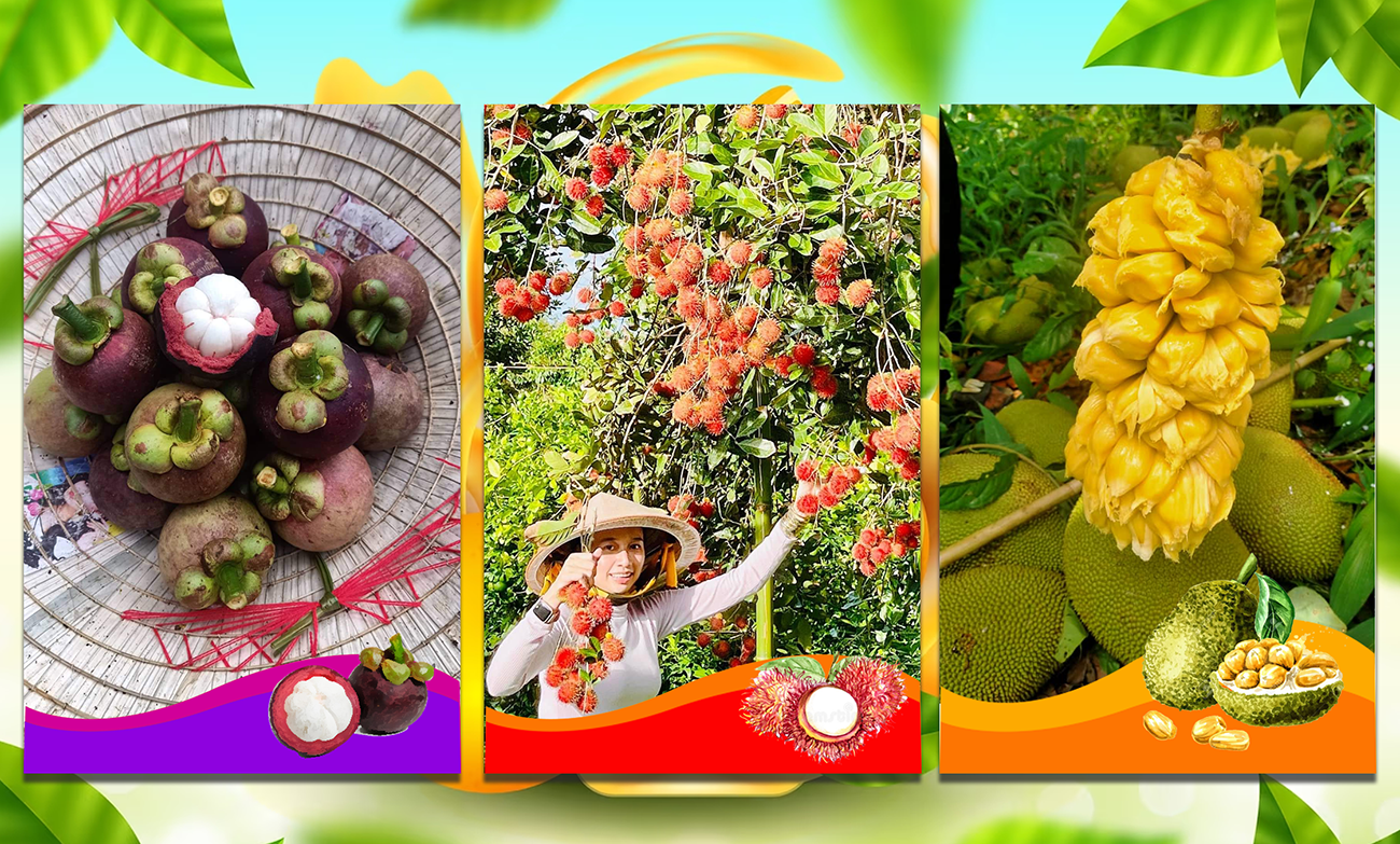 Những loại cây trái đặc sản ở vùng Đông Nam Bộ.
