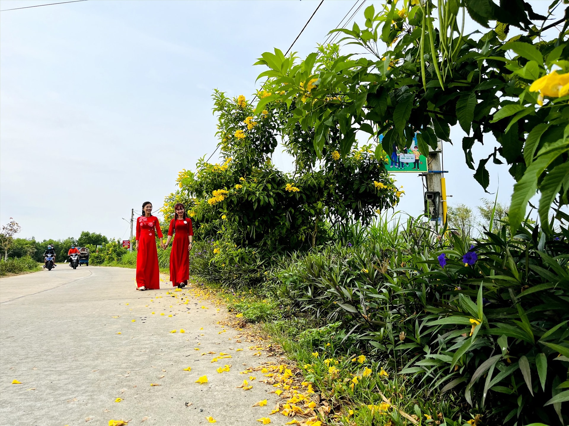 Tuyến đường đẹp (ĐH 21) xã Bình Chánh, huyện Thăng Bình. Ảnh: VĂN TOÀN