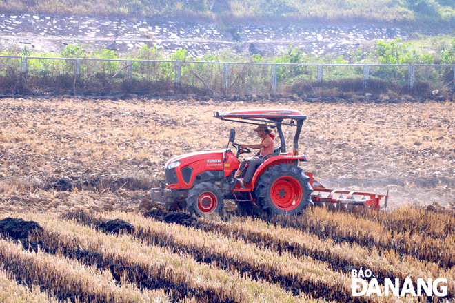 Nông dân đang khẩn trương chuẩn bị đầy đủ các điều kiện cần thiết, bảo đảm sản xuất đúng khung thời vụ lúa hè thu 2023. Trong ảnh: Cánh đồng thôn La Bông (xã Hòa Tiến) được cày xới sau thu hoạch vụ đông xuân 2022-2023. Ảnh: V.H