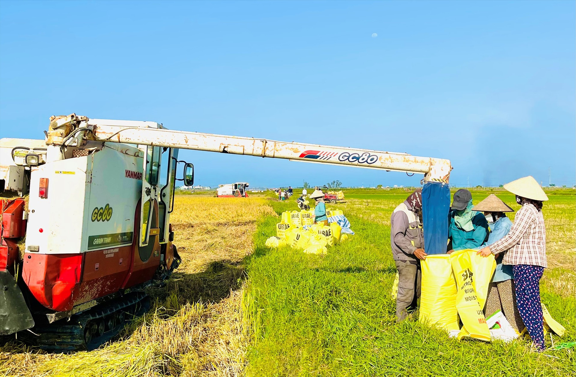 Đông xuân năm nay, tổng sản lượng lúa của Quảng Nam đạt 248.700 tấn, tăng 15.380 tấn so với cùng vụ sản xuất năm ngoái. Ảnh: PV